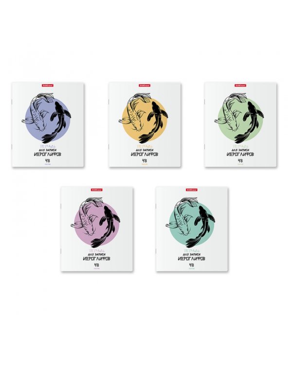 Тетрадь для записи иероглифов Баланс, 48 листов, в ассортименте