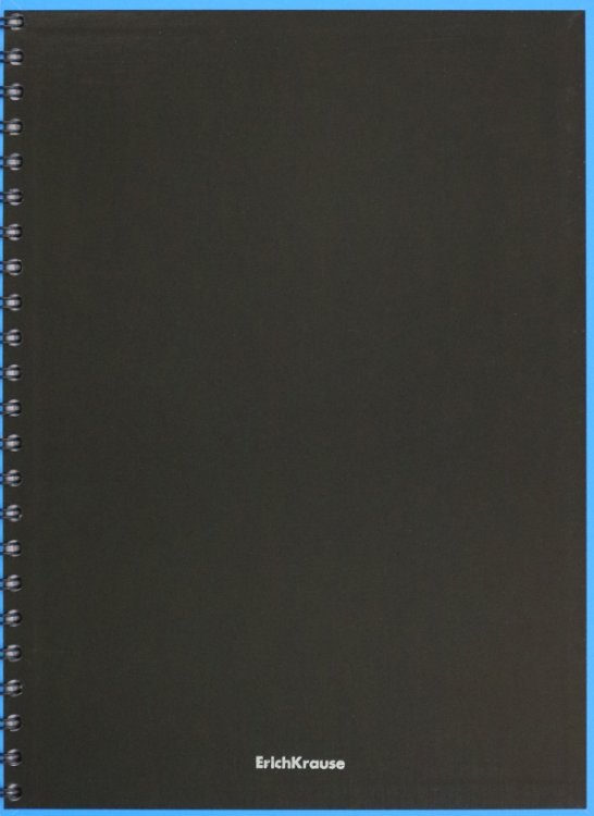 Тетрадь общая Accent, А4, 120 листов, клетка, в ассортименте