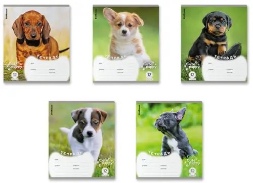 Тетрадь школьная ученическая Щенки, 12 листов, клетка, в ассортименте, 10 штук Тетрадь школьная ученическая Щенки, 12 листов, клетка, в ассортименте, 10 штук