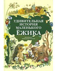 Удивительная история Маленького Ёжика