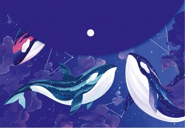 Папка для документов Папка для документов пластиковая Созвездие киты, А4