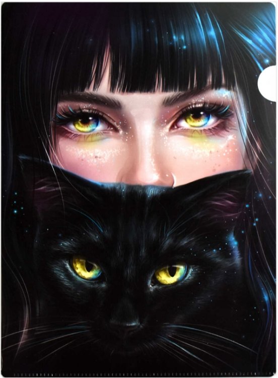 Папка-уголок Папка-уголок для документов пластиковая Зеркало души, А4