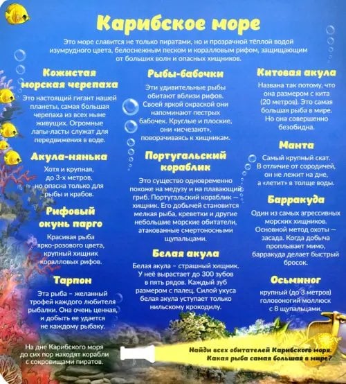 Книжка с фонариком Кто живёт под водой?