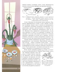 Квантик. Альманах для любознательных. Выпуск 22