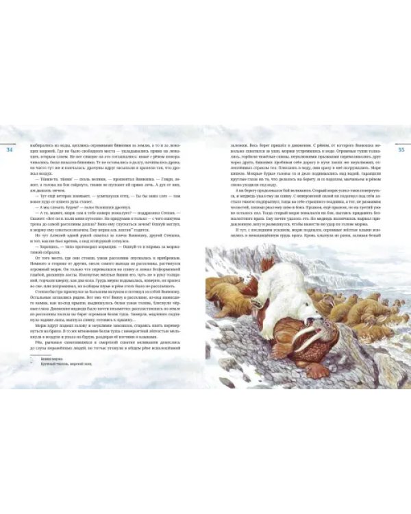 Дополнительное изображение книги «Остров Мужества»