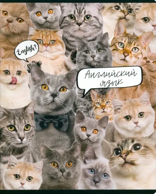 Тетрадь предметная Кошачий мир. Английский язык, А5, 48 листов, клетка