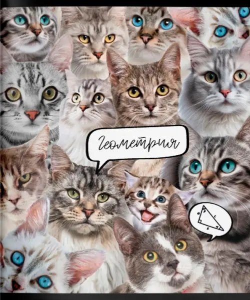 Тетрадь предметная Кошачий мир. Геометрия, А5, 48 листов, клетка