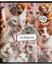 Тетрадь предметная Кошачий мир. История, А5, 48 листов, клетка
