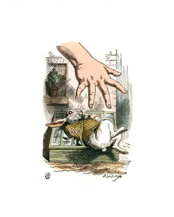 Classiques pour petits et grands. Alice au pays des merveilles
