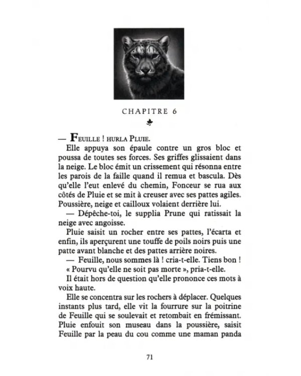 Les Messagers du Dragon. Tome 2. Une rivière de secrets