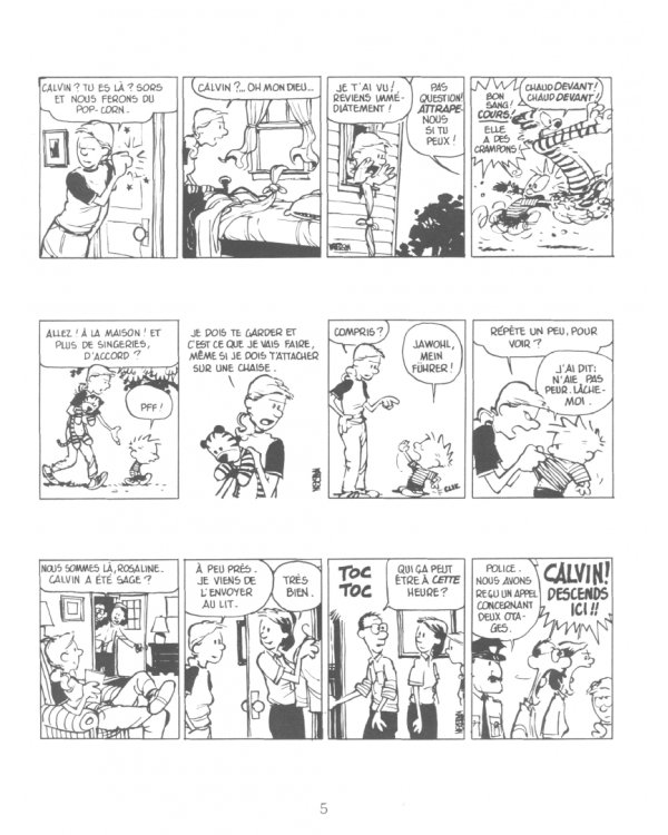 Calvin et Hobbes. Tome 2. En avant tete de thon !