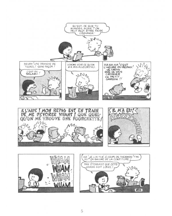 Calvin et Hobbes. Tome 10. Tous aux abris !