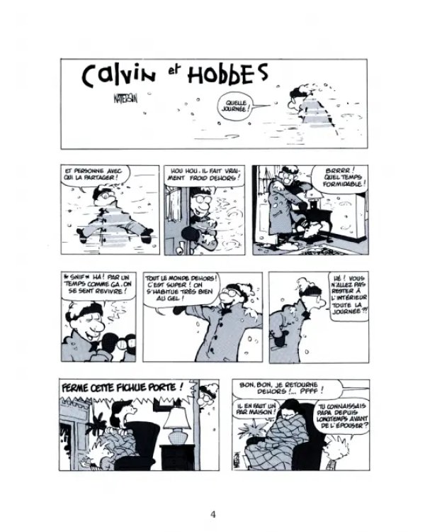 Calvin et Hobbes. Tome 11. Chou bi dou wouah !