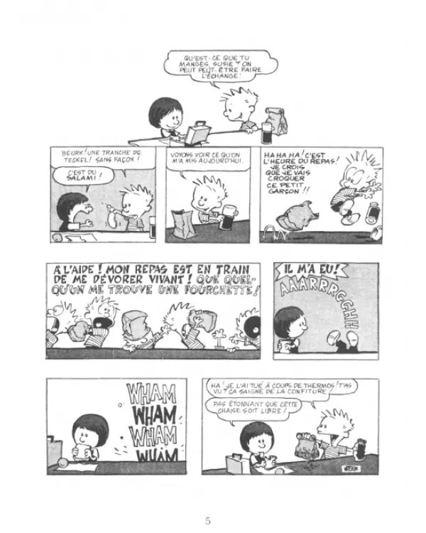 Calvin et Hobbes. Tome 10. Tous aux abris !