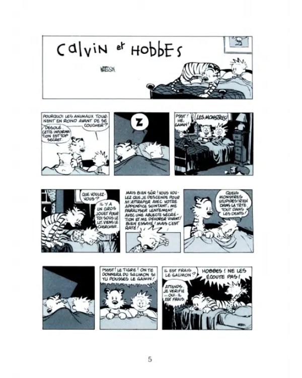 Calvin et Hobbes. Tome 14. Va jouer dans le mixer !