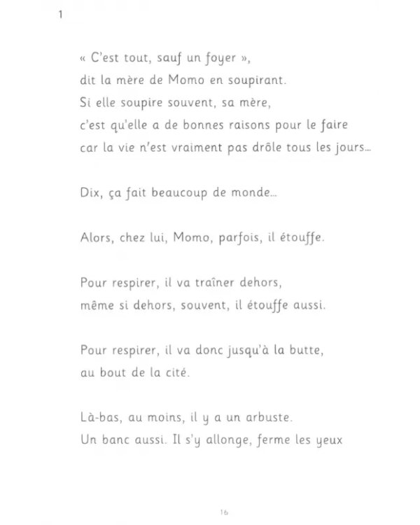 Momo, petit prince des Bleuets