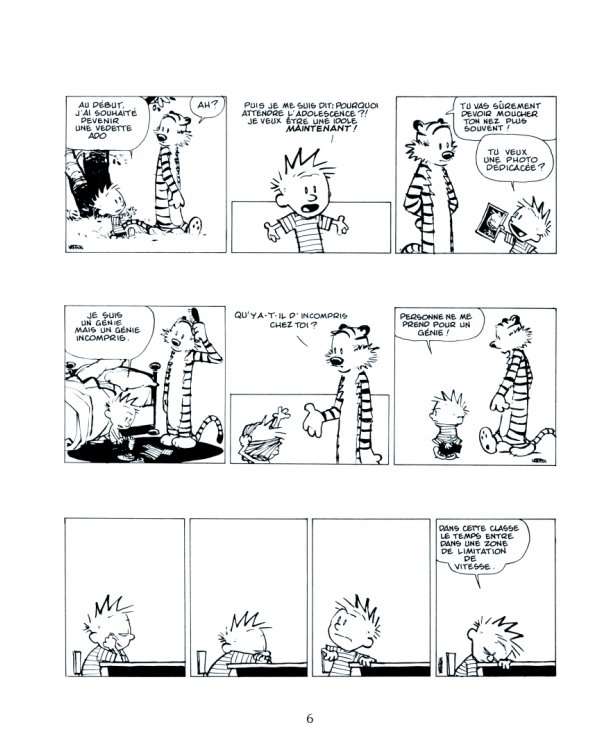 Calvin et Hobbes. Tome 20. Il y a des trésors partout !