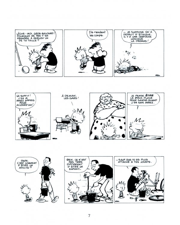 Calvin et Hobbes. Tome 20. Il y a des trésors partout !