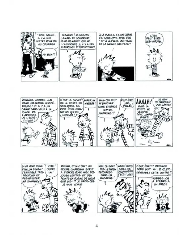 Calvin et Hobbes. Tome 18. Gare au psychopathe a rayures !