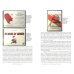 Дополнительное изображение книги «Пришел, увидел - побежден!»