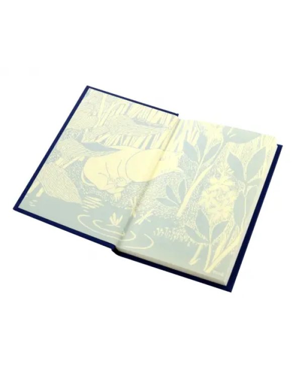 Дополнительное изображение книги «Moominsummer Madness»