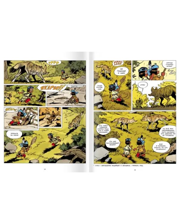 Дополнительное изображение книги «Якари и Койот»