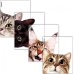 Набор обложек для тетрадей и дневников Hiding Cats, 12 штук