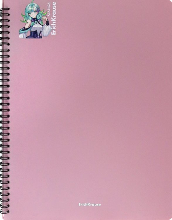 Папка файловая на спирали Matt Manga, А4, 20 файлов, ассорти Папка файловая на спирали Matt Manga, А4, 20 файлов, ассорти