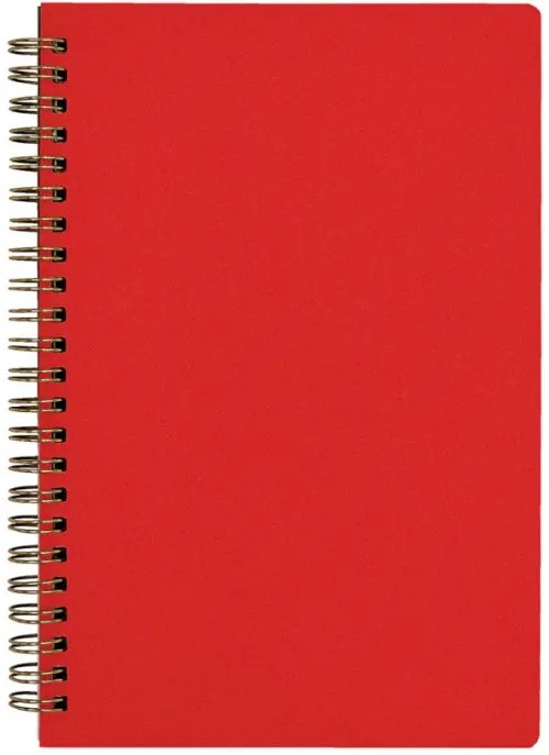 Тетрадь Pragmatic. 60 листов, клетка, красный, гребень