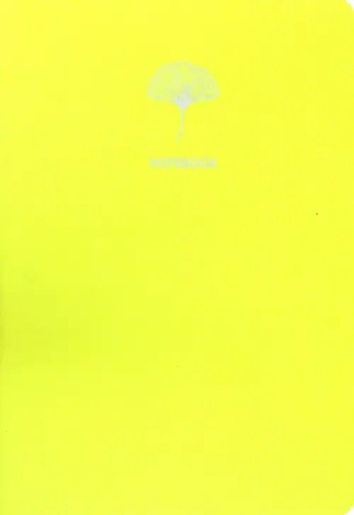 Тетрадь Color dreams 2, А5-, 48 листов, клетка