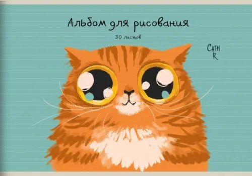 Альбом для рисования Альбом для рисования Рыжий кот, 30 листов