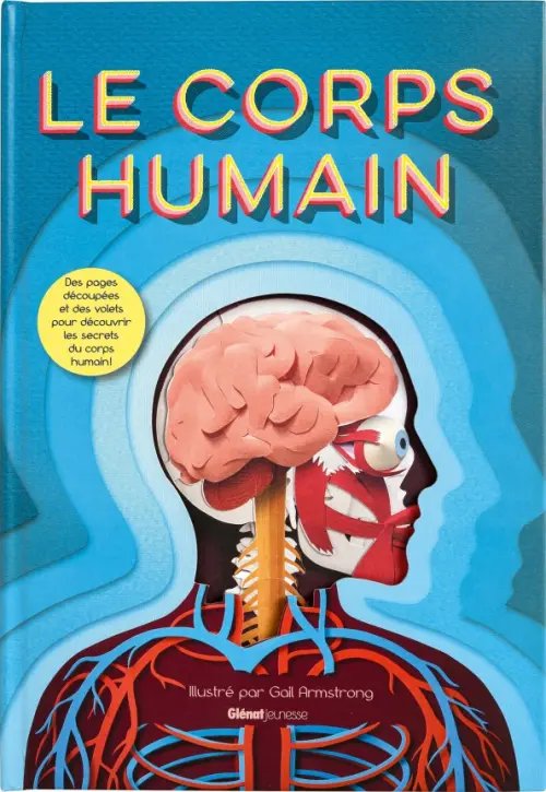 Le corps humain Le corps humain