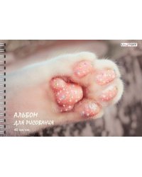 Альбом для рисования Пушистая лапка, А4, 40 листов, гребень