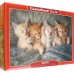 Puzzle-1000. Милые котята