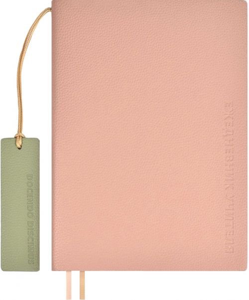 Ежегодник учителя Ежедневник учителя Шеврет розовый, 160 листов, А5+