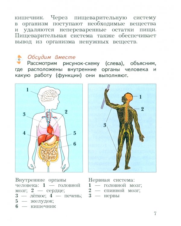 Окружающий мир. 3 класс. Учебное пособие. В 2-х частях. Часть 2