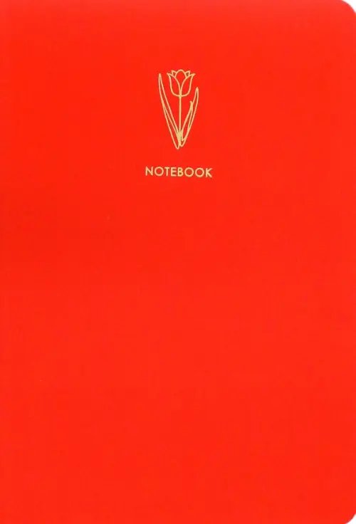 Тетрадь Color dreams 8, А5-, 48 листов, клетка