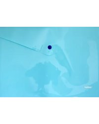 Папка-конверт пластиковая на кнопке "NEWtone Pastel Незабудка" А4 (AKк4_05025)