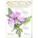 Let's Look for Wild Flowers (+ 30 reusable stickers)