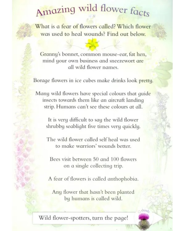 Let's Look for Wild Flowers (+ 30 reusable stickers)