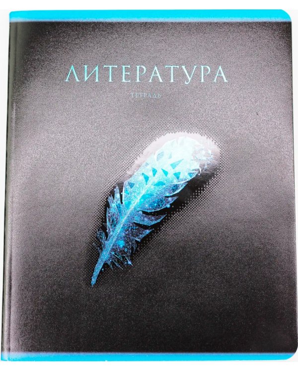 Тетрадь предметная Знания. Литература, 48 листов