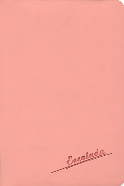 Записная книжка, 80 листов, 98х145, "СОФТ-ТАЧ РОЗОВЫЙ", мягкий (45349)