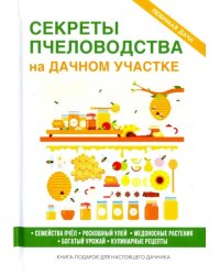 Секреты пчеловодства на дачном участке