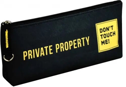 Пенал школьный Пенал школьный Частная собственность