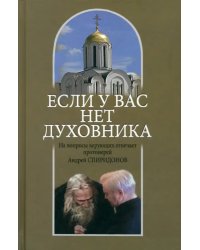 Если у вас нет духовника. На вопросы верующих отвечает протоиерей Андрей Спиридонов