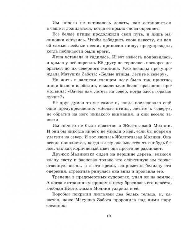 Лесные рассказы