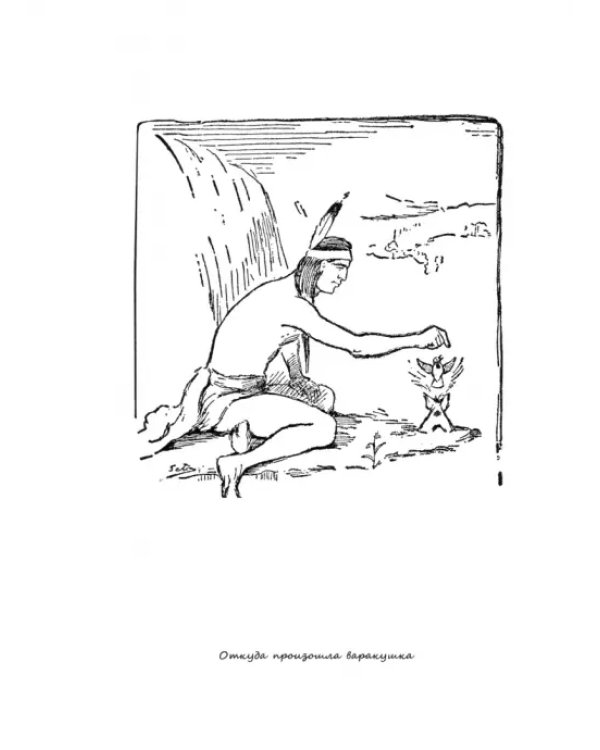 Лесные рассказы