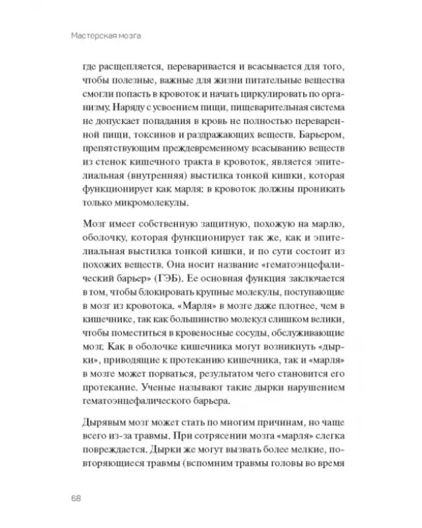 Мастерская мозга. Как за 1 час в неделю улучшить память, сон и работоспособность