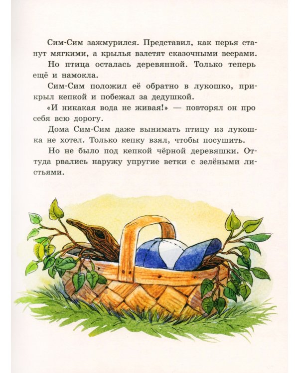 Волшебные туфли