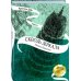 Сквозь зеркала. Книга 3. Память Вавилона